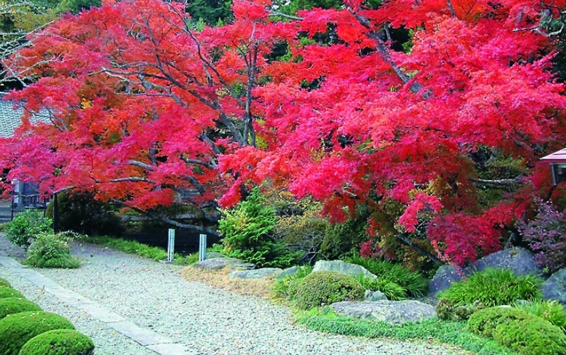 宝蔵寺