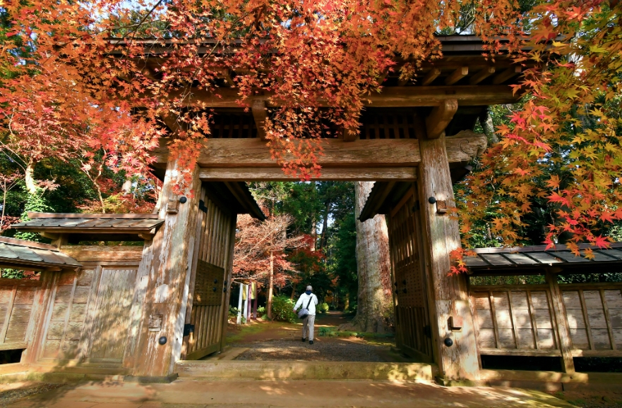飯高寺