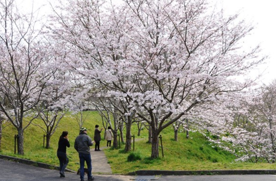 天神山公園