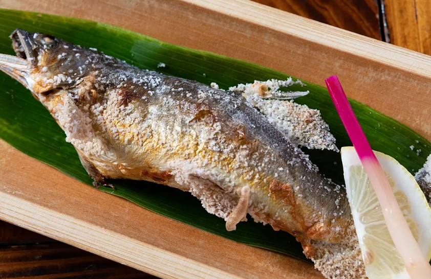 郡上鮎
