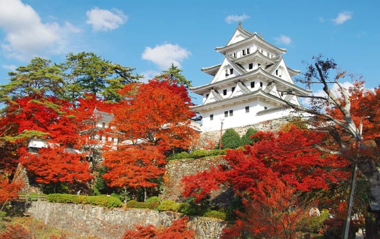 郡上八幡城