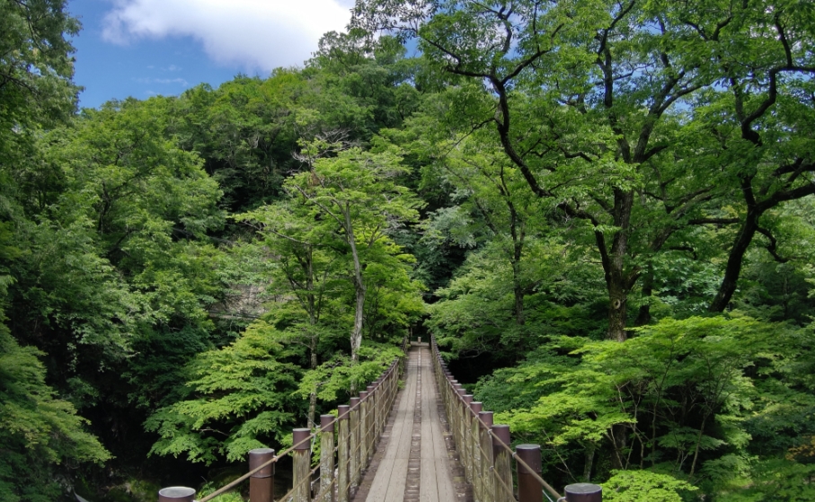 花貫渓谷