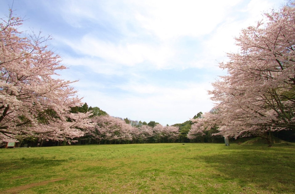 石神城址公園