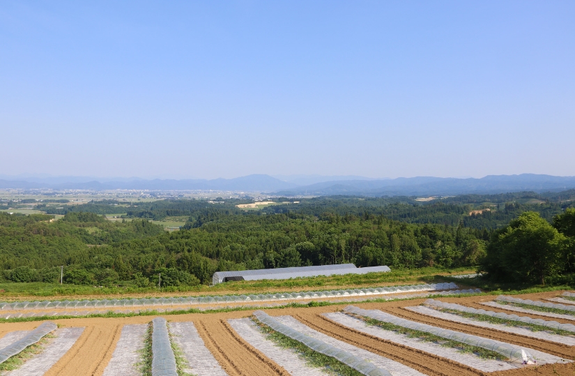 羽後町の風景