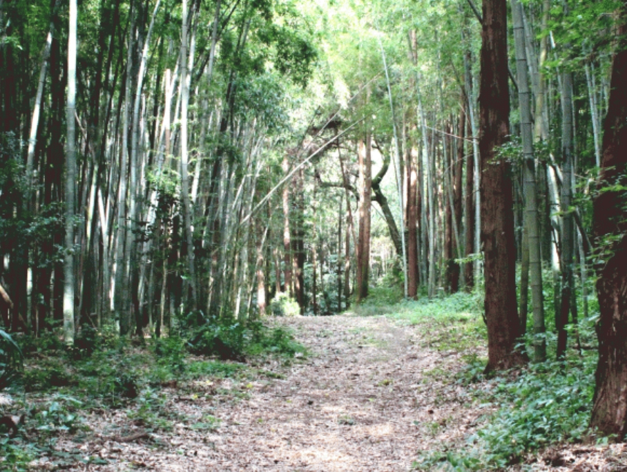 鎌倉街道