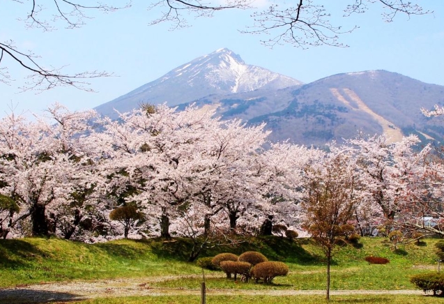 亀ヶ城公園