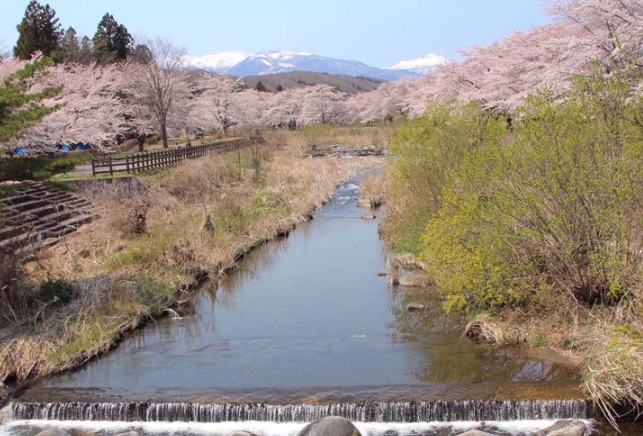 堀川親水公園