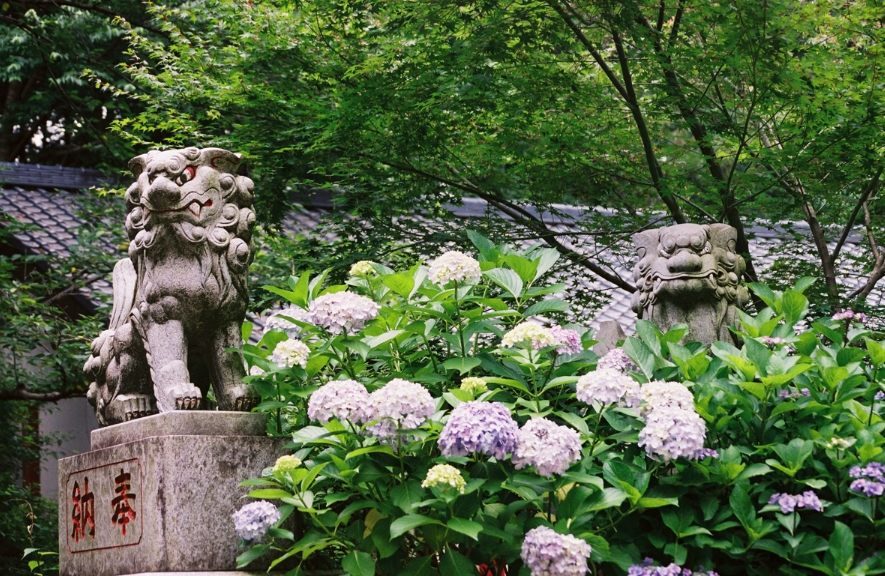 大宝八幡宮