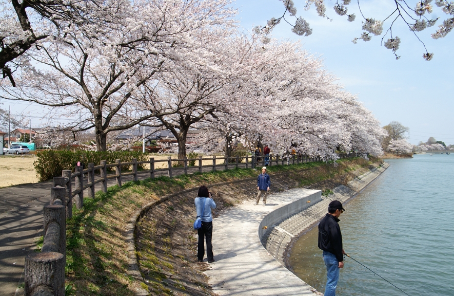 砂沼広域公園