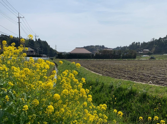 長柄町の風景