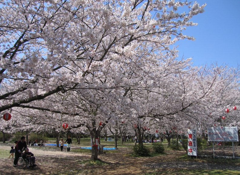 鹿嶋市のアイキャッチ画像