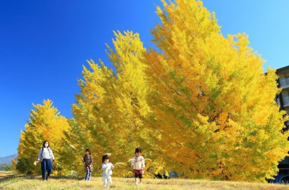 市川三郷町