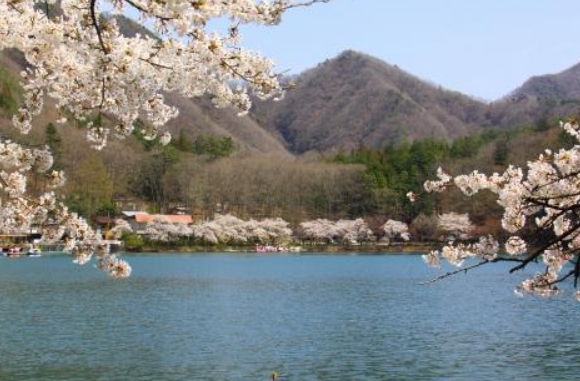 四尾連湖
