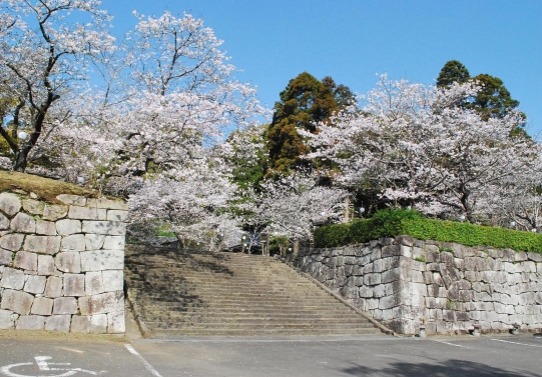舞鶴公園