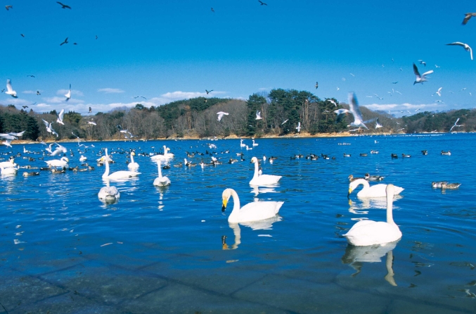 モリリン加瀬沼公園