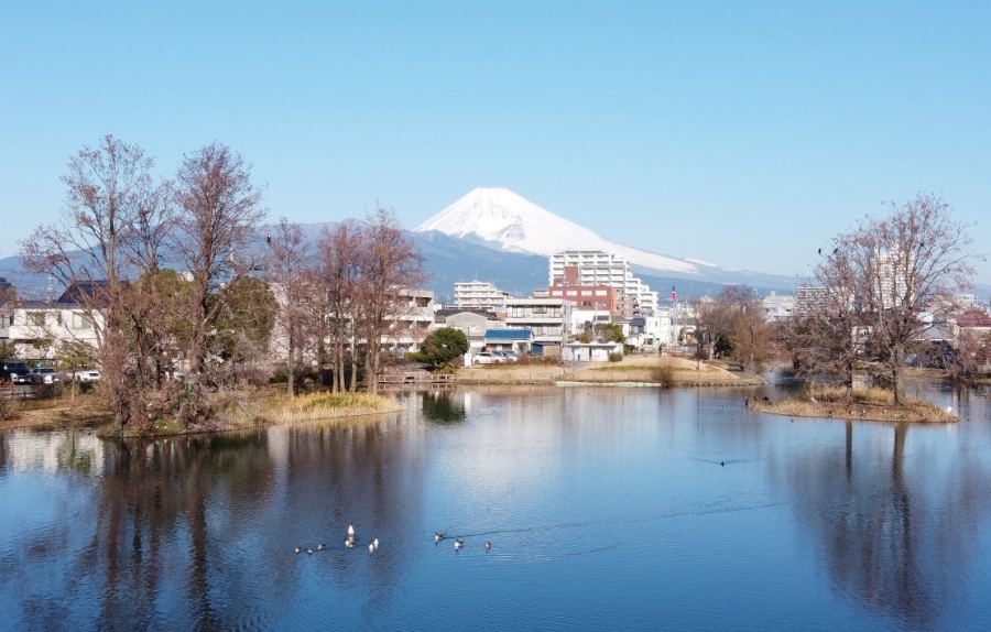 三島市のアイキャッチ
