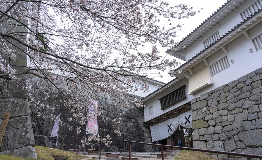 霞ヶ城公園・二本松城跡
