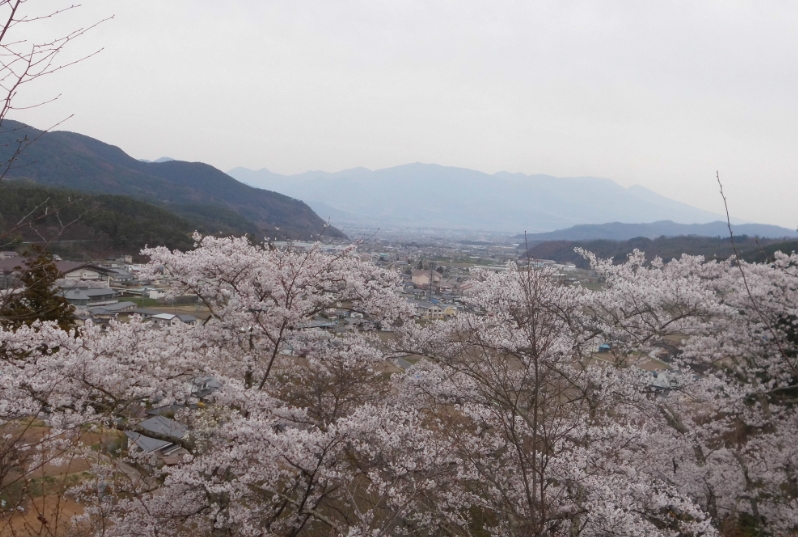 青木村の市街地