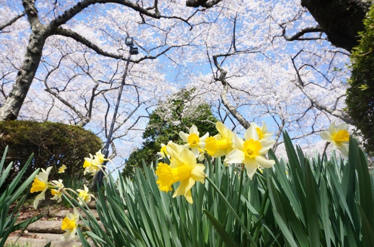 館山公園