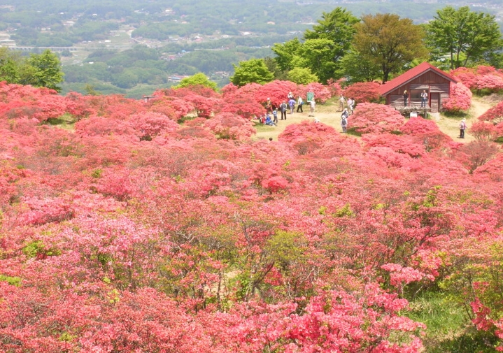高柴山頂の風景
