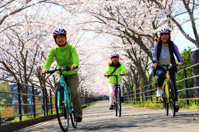 南さつま市 サイクリング