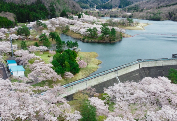 大野ダム公園
