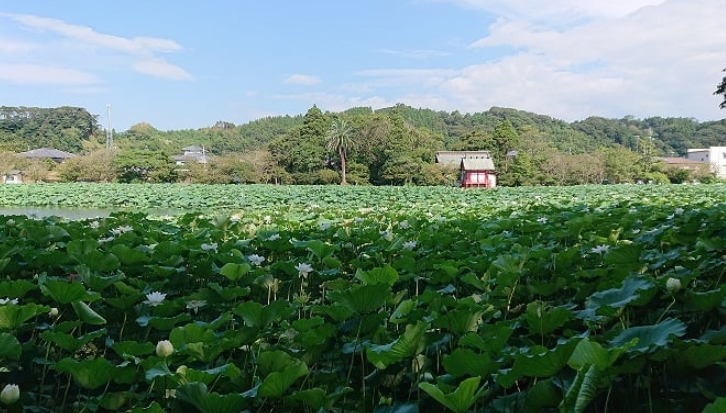 湖水ヶ池公園