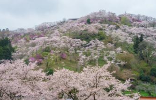 三休公園