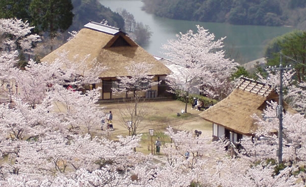 美咲町