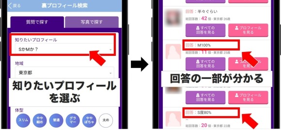 出会い系のSMパートナー探し方裏プロフ