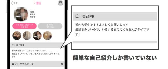 プロフィール内容が薄い女性 例