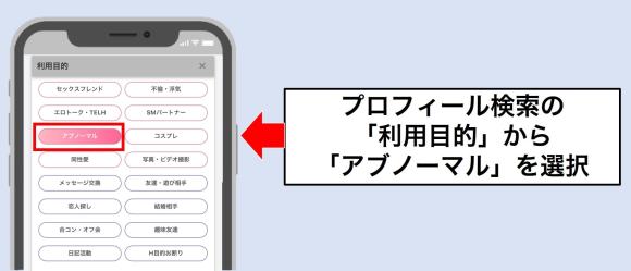 PCMAXでアブノーマルな出会い