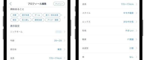 プロフィール項目