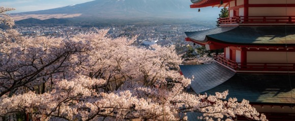 日本文化