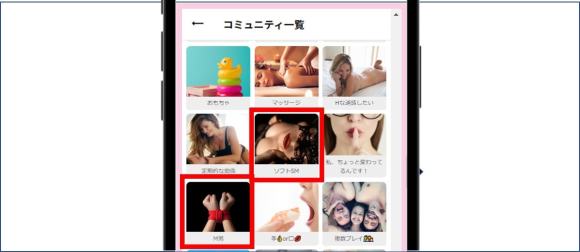 ワクワクメール_SMコミュニティ