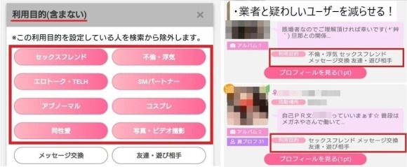 PCMAXのプロフィール検索でアダルト項目を含まないやり方の説明画面