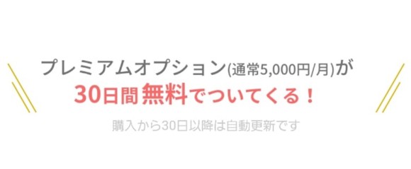 YYCのプレミアムオプション