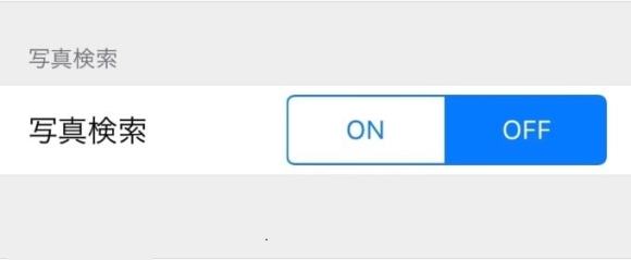 写真検索結果の表示をオフにする