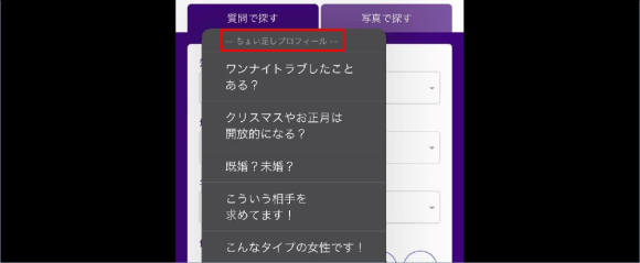 PCMAX 裏プロフィール　ちょい足しプロフィール
