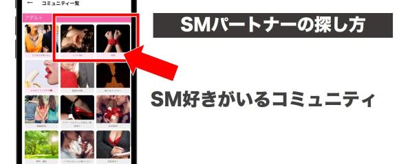 ワクワクメールでSMパートナーを見つける方法