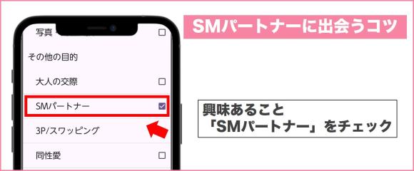 SMパートナーに出会うコツ興味あることチェック
