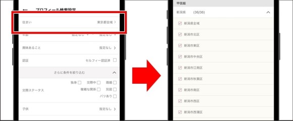 ワクワクメール 掲示板 新潟