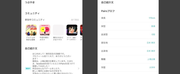 プロフィール項目画面
