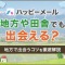 ペアフルロゴ