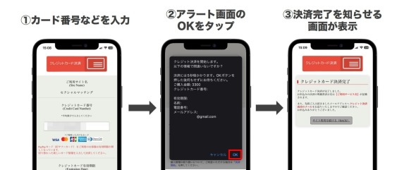 セクシャルマッチング 支払いの流れ