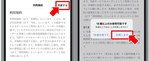 オルカ　利用規約に同意するだけ