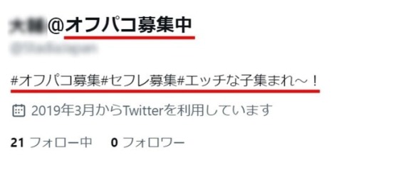 Twitterで性欲が全面に出たプロフィールではオフパコできない