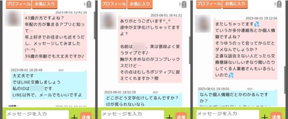 昭和完熟メロンのサクラとのやり取り