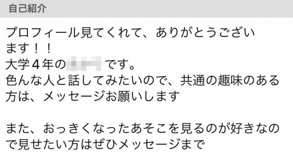 アダルトなプロフィール設定