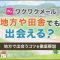 ペアフルロゴ